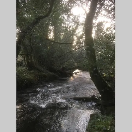 Woodford In Old Farm * Килларни