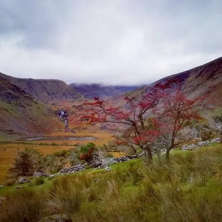 Woodford In Old Farm