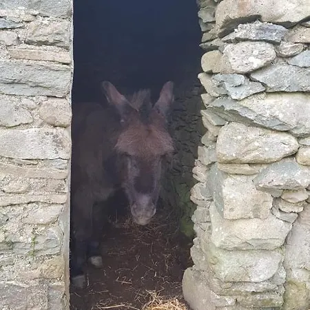 Woodford In Old Farm