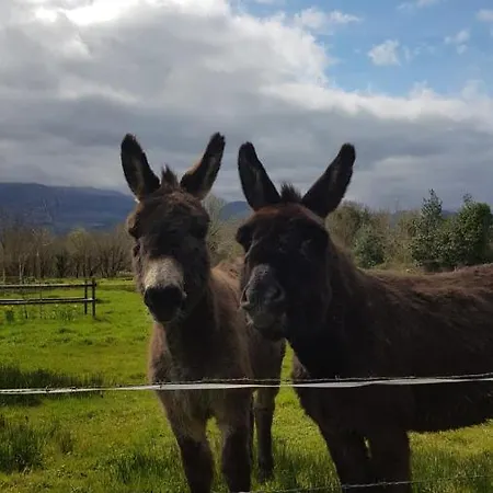 Woodford In Old Farm Дом отдыха