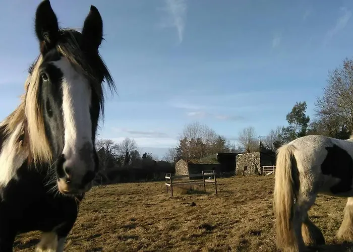 Woodford In Old Farm Ferienhaus *