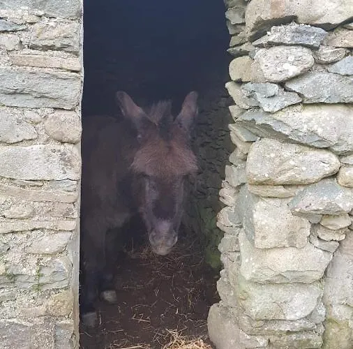 Woodford In Old Farm