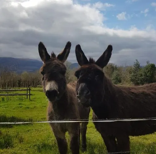 Woodford In Old Farm Ferienhaus