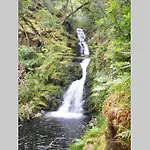 Woodford In Old Farm * Killarney