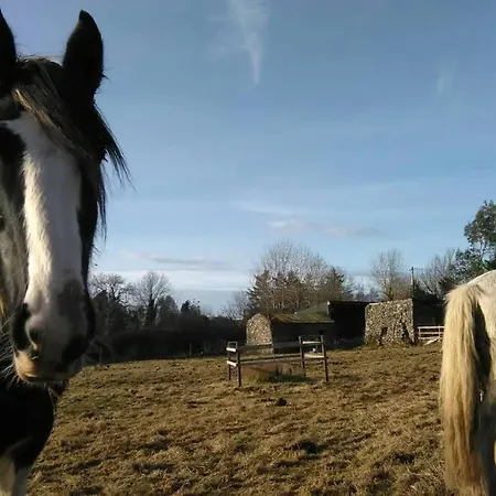 Woodford In Old Farm Hébergement de vacances *