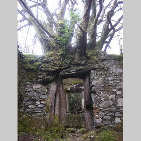 Woodford In Old Farm Killarney