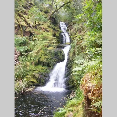 Woodford In Old Farm * Killarney