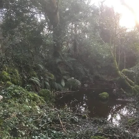 Woodford In Old Farm Hébergement de vacances *