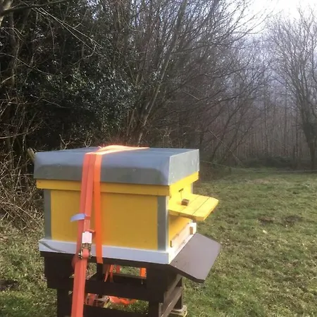 Hébergement de vacances Woodford In Old Farm *