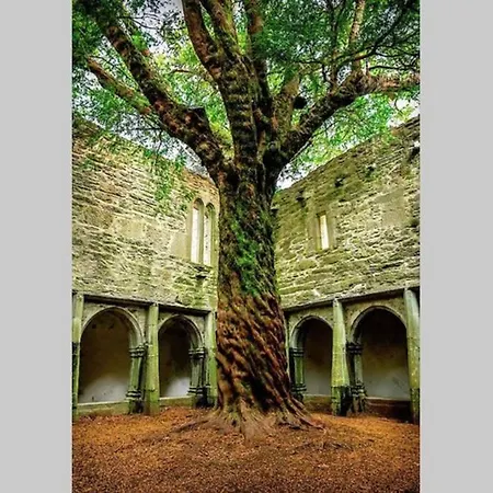 Hébergement de vacances Woodford In Old Farm Killarney