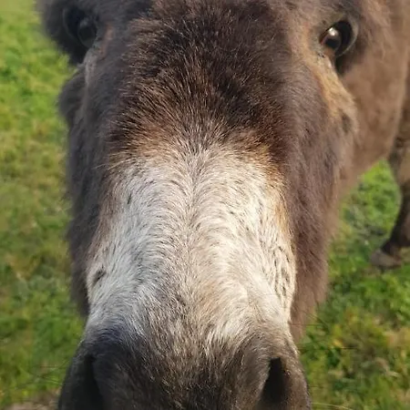 Woodford In Old Farm Hébergement de vacances *