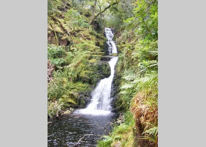 Woodford In Old Farm * Killarney