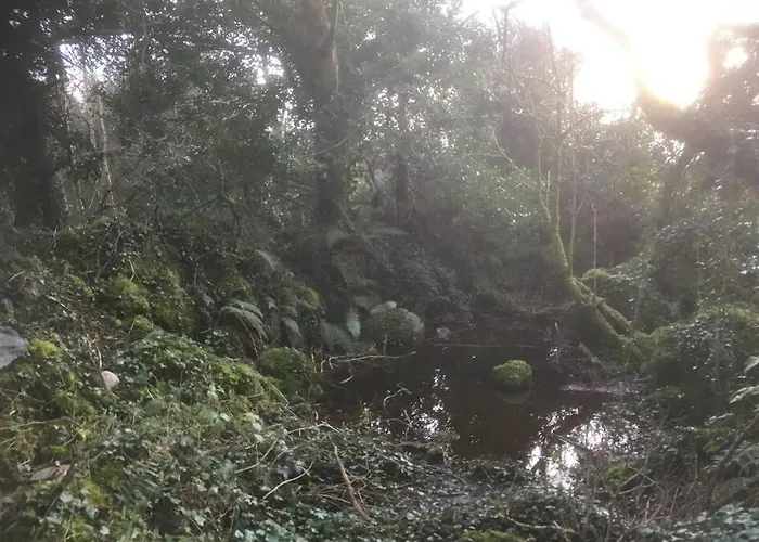 Woodford In Old Farm 別荘 *