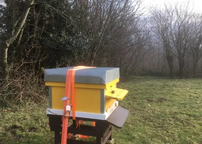 別荘 Woodford In Old Farm *