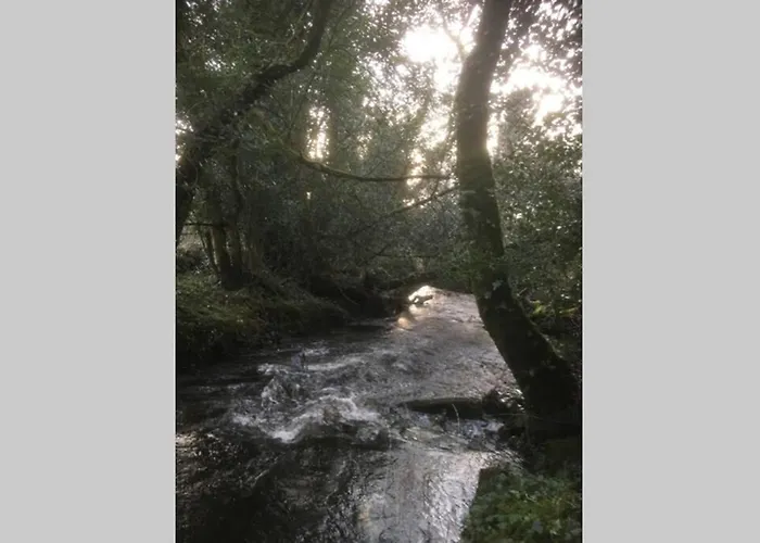 Woodford In Old Farm * Killarney