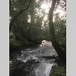 Woodford In Old Farm * Killarney