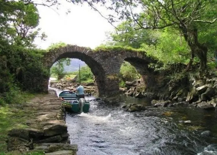 Woodford In Old Farm 基拉尼