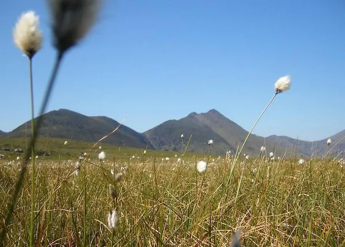 度假居 Woodford In Old Farm *