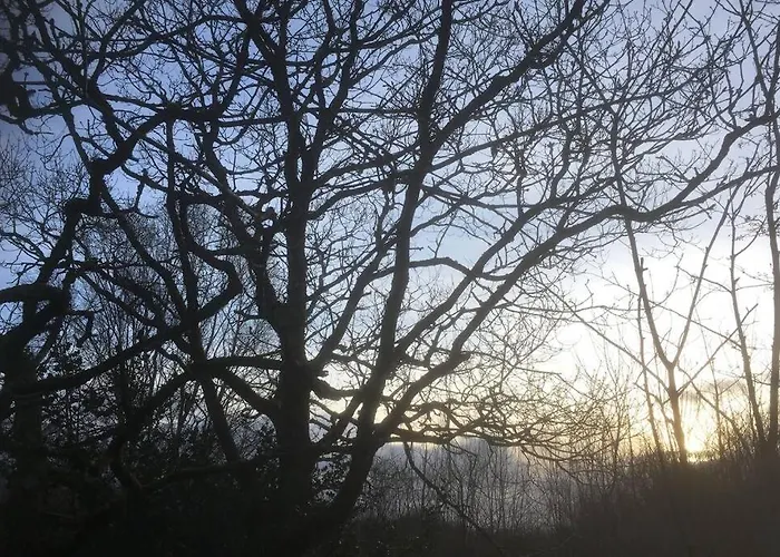 Woodford In Old Farm 度假居